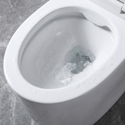 Somma Krazy Klean Pro.